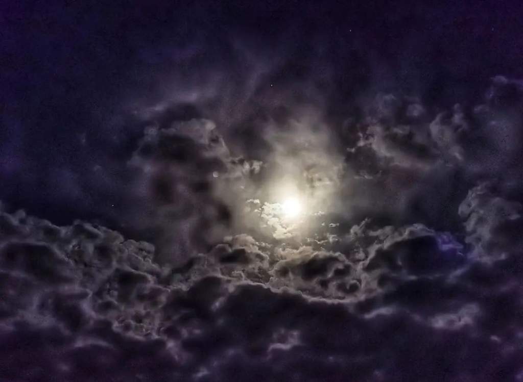 grodnonews.by_278670108_706642490751032_8666801490790537023_n.jpg