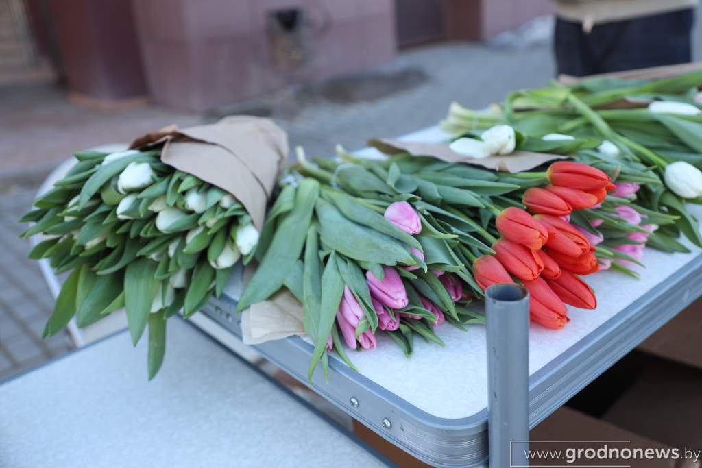 IMG_4678.JPG