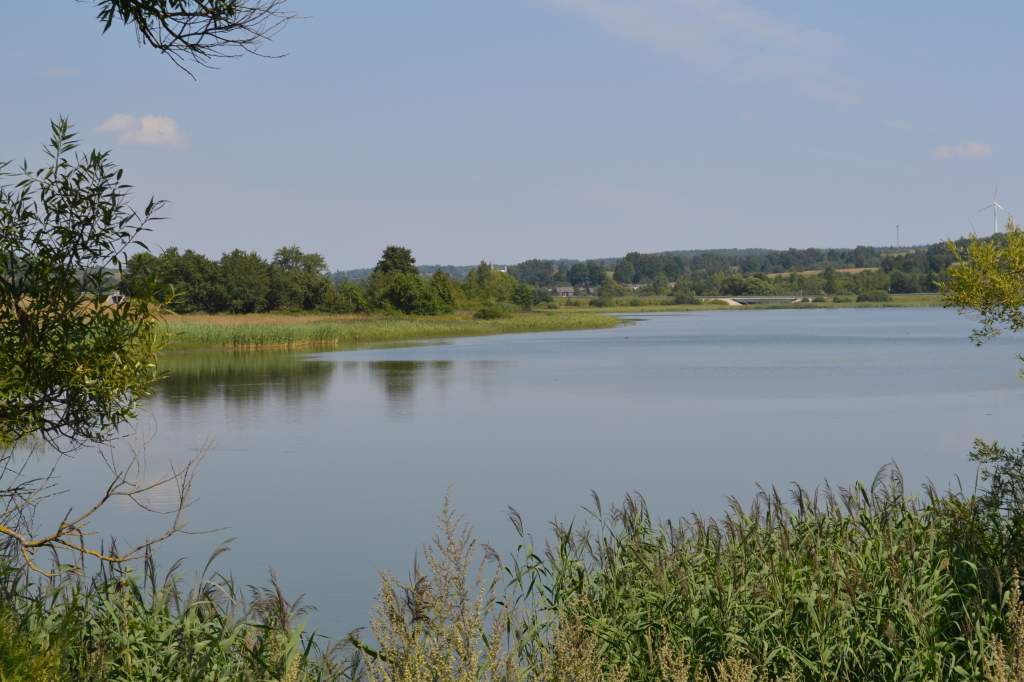 DSC_2051.jpg