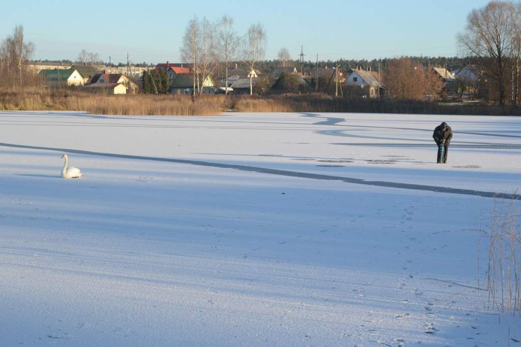 1543576000_123-8.jpg