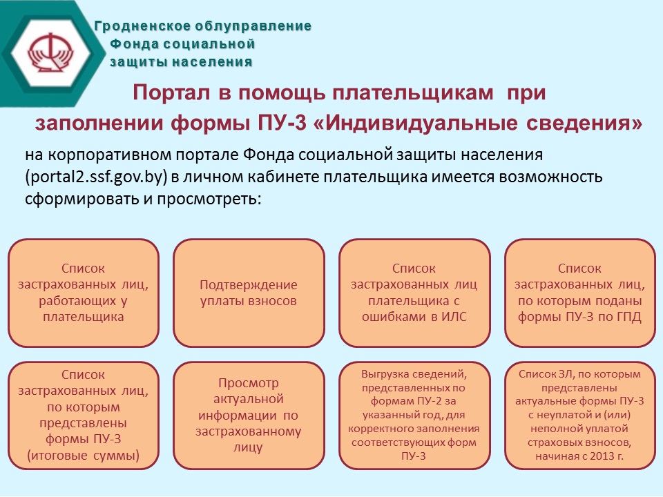 В помощь плательщикам при сдаче формы ПУ-3.jpg