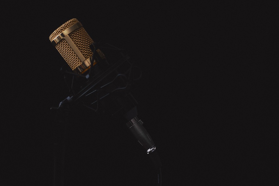 microphone-2130806_960_720.jpg