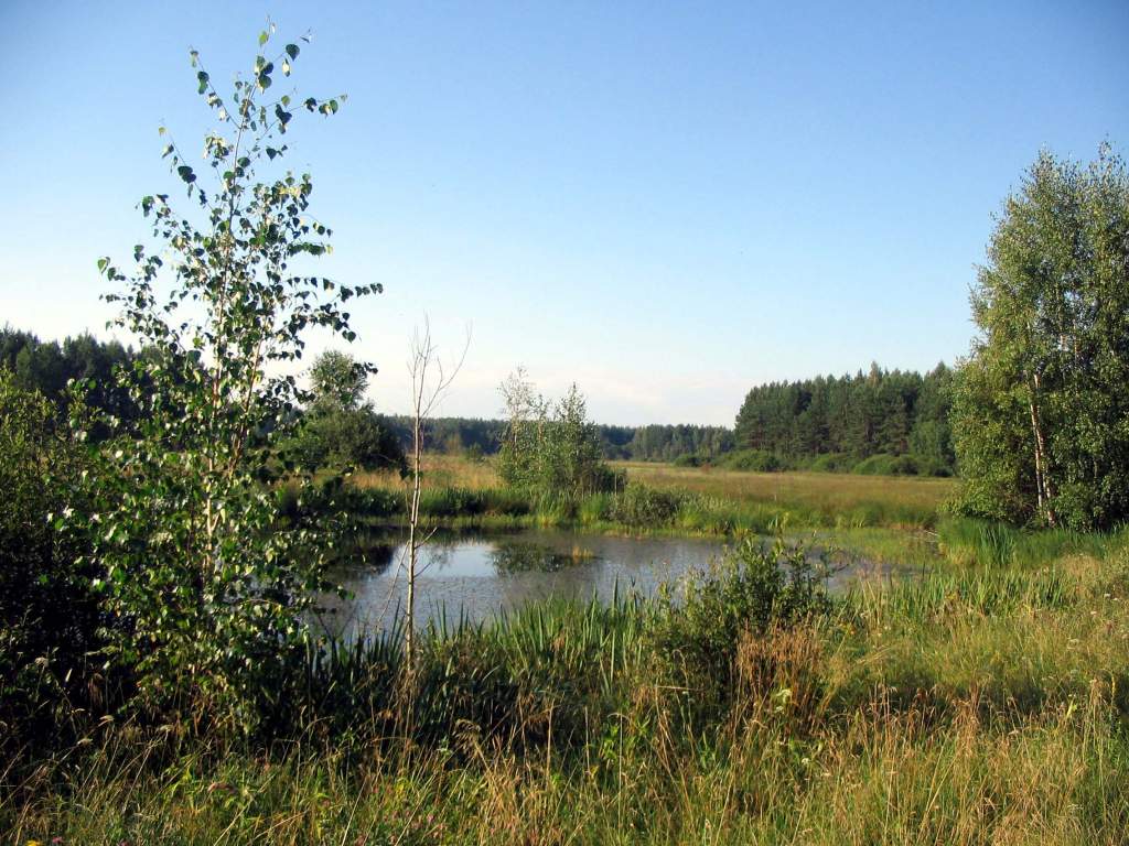 IMG_1015.JPG
