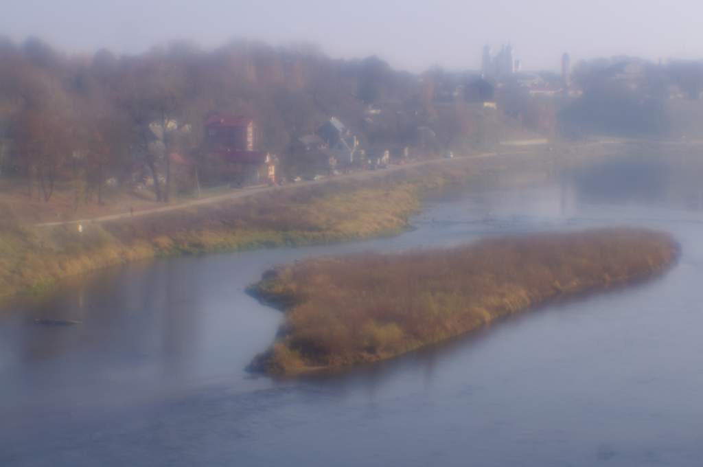 IMGP4540-2.jpg