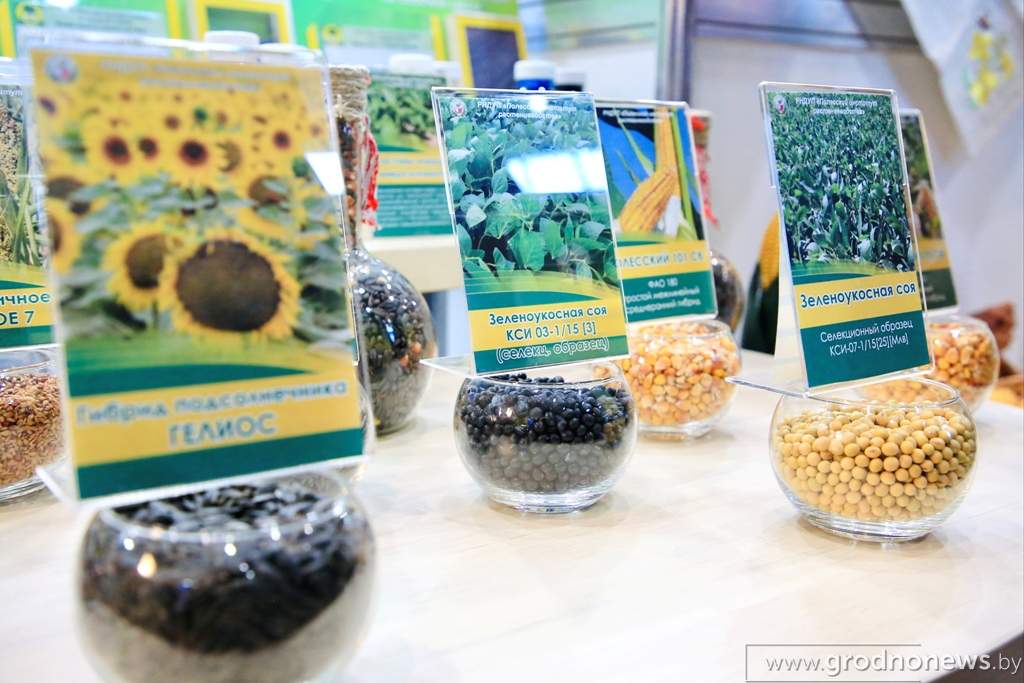Файл_015.jpeg