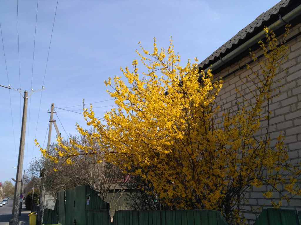 IMG_20190418_114118.jpg