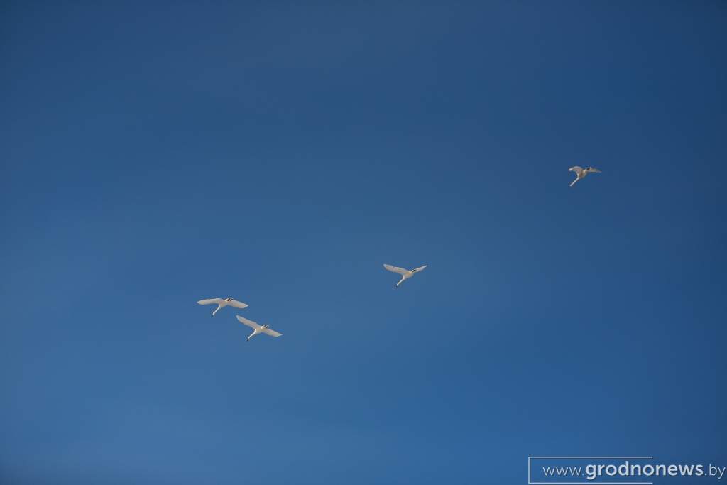 2021-01-17 15.36.50.JPG