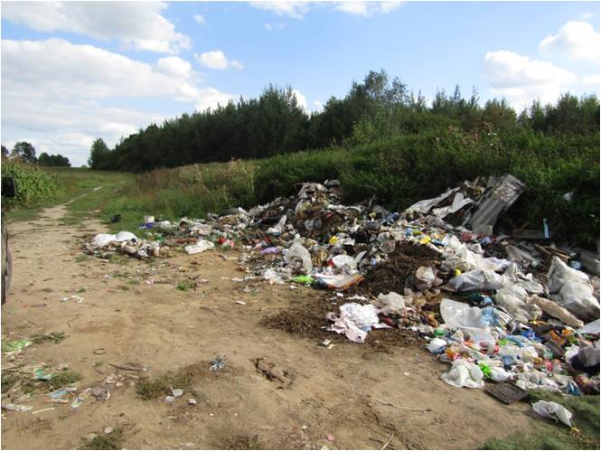 вороново1.jpg