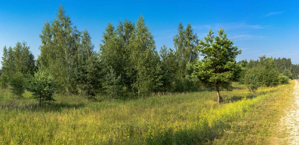 загорьевский 216769.jpg
