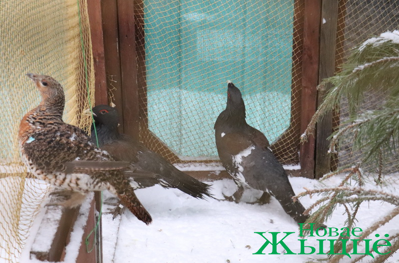 после процентов.png