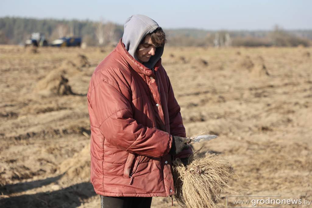 2021-11-01 12.05.38.JPG