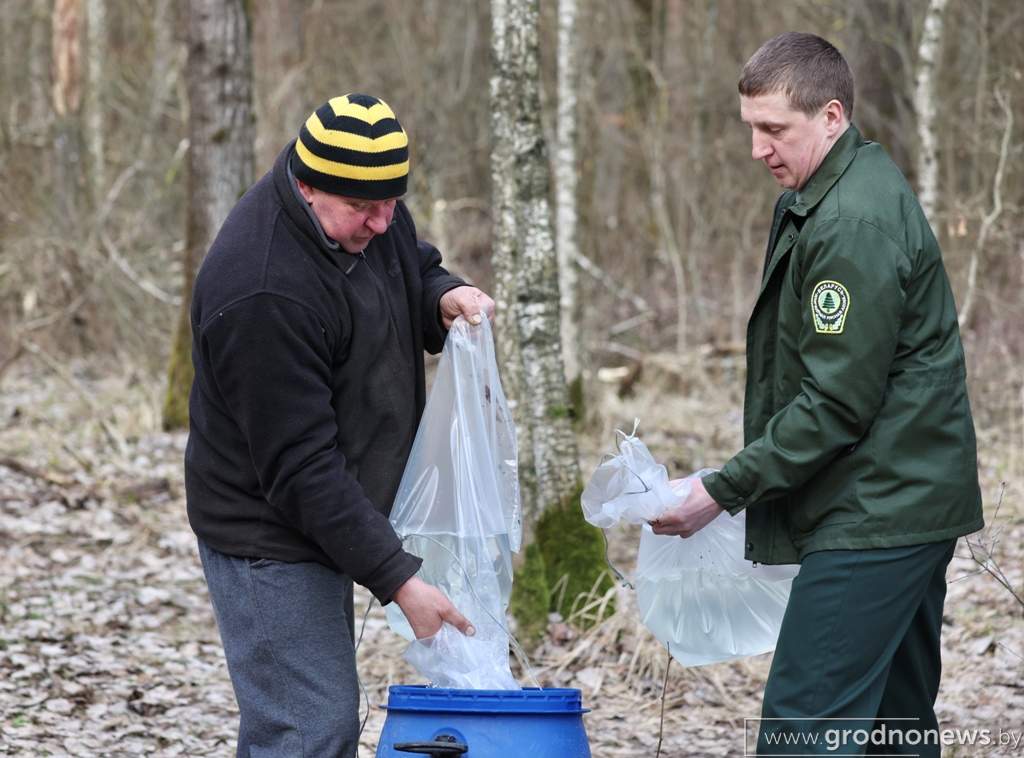 2021-03-29 11.05.36.JPG