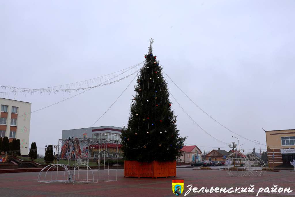 IMG_1517.JPEG