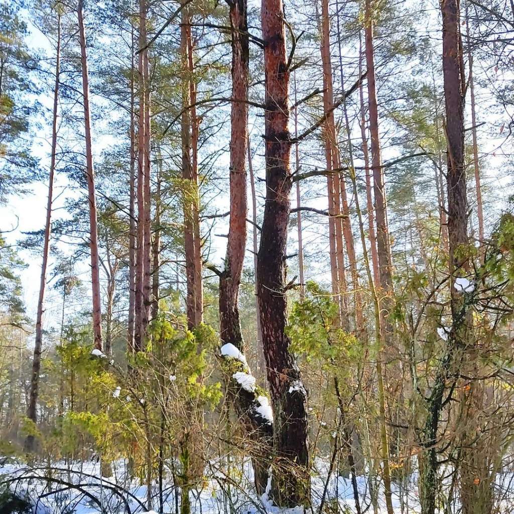 tomakhotjan_153563164_445848933132218_8418209879360399451_n.jpg