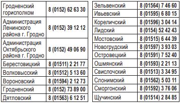 Снимок.JPG