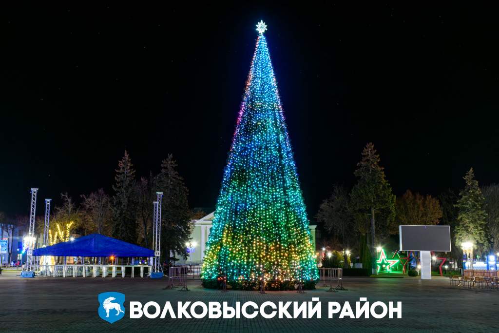 05.jpg