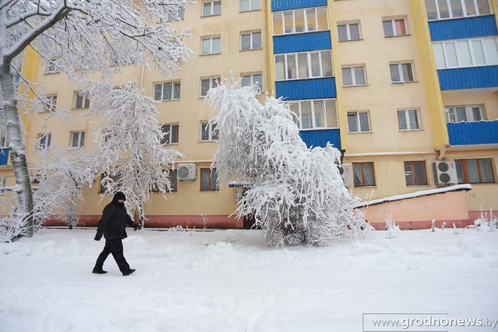 2021-01-26 11.01.37.JPG