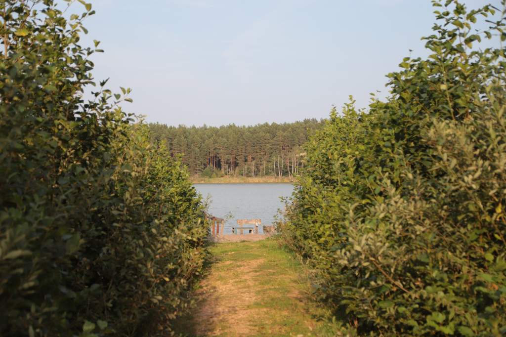 20190829-IMG_4419.jpg