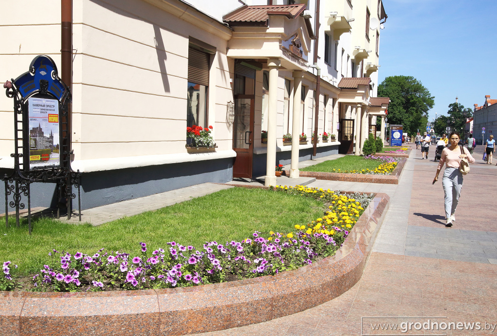 DPP_40232.JPG