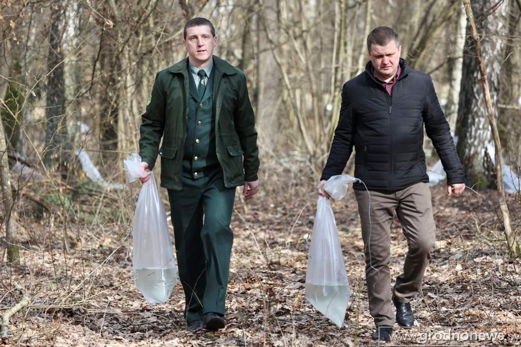 2021-03-29 10.45.05.JPG