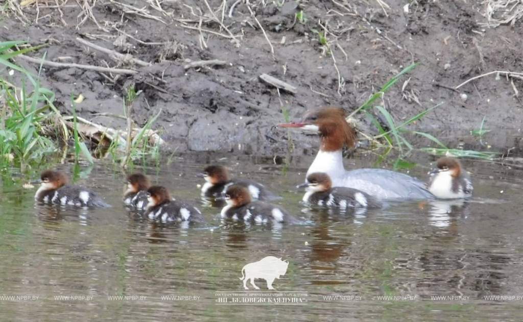 00.jpg