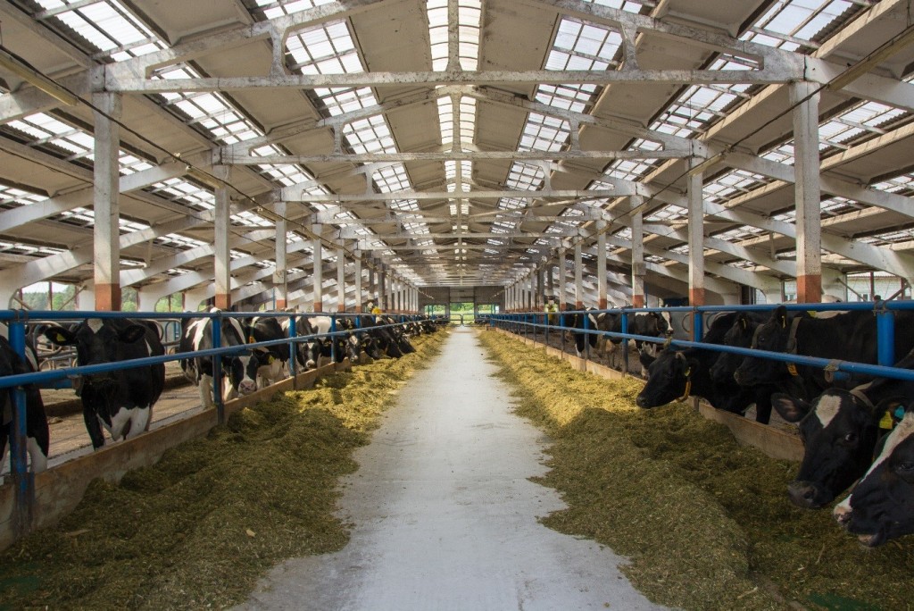 ферма СПК.jpg