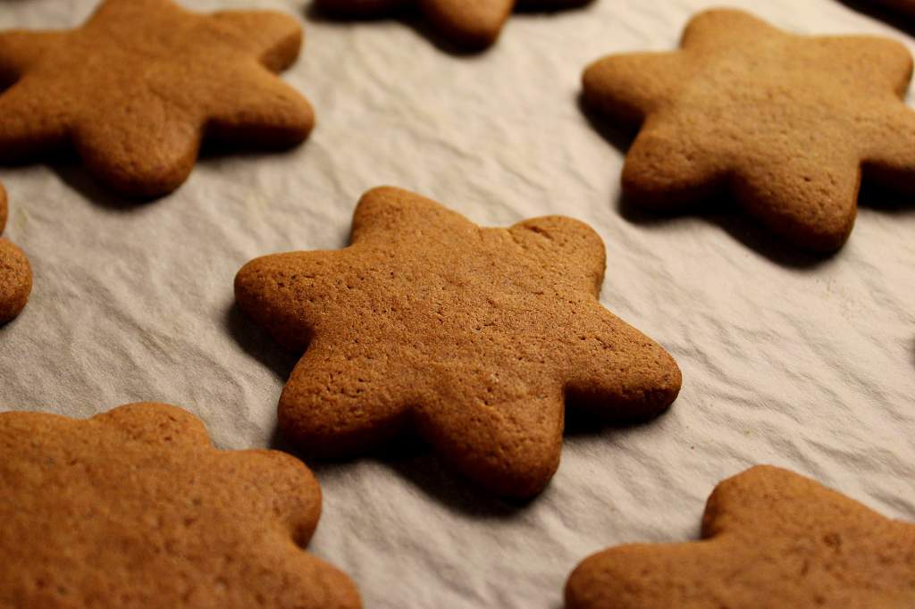 gingerbread-4680738_1920.jpg