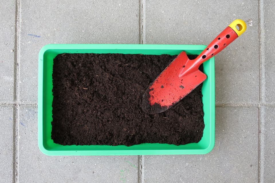 kitchen-garden-960542_960_720.jpg