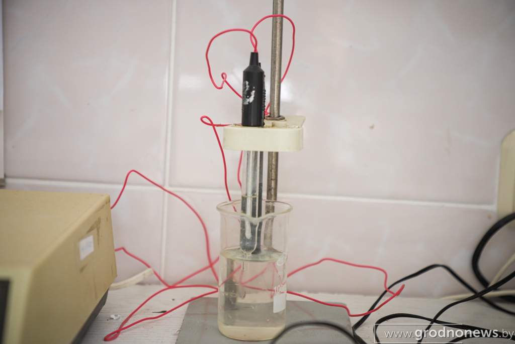 Photo-10.jpg