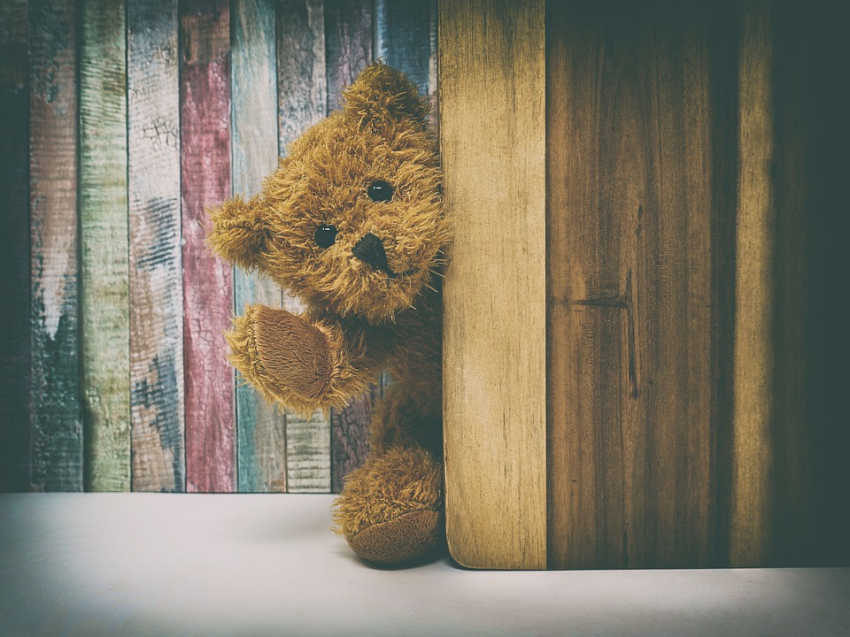 teddy-4590050_960_720.jpg