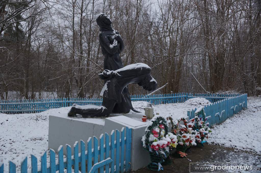Трахимовичи_Алла Бибикова (3).JPG