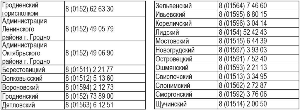 лин.JPG