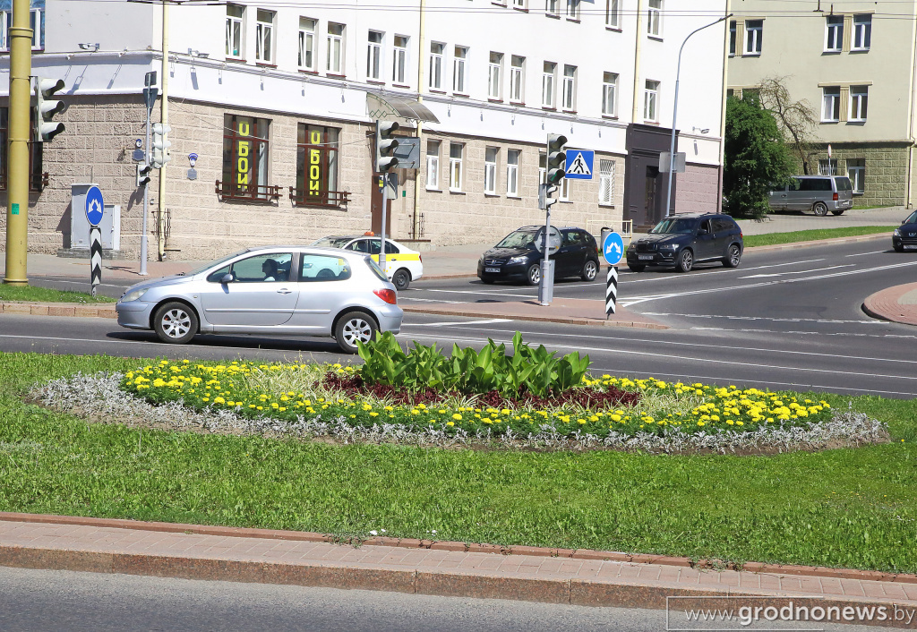 DPP_40237.JPG