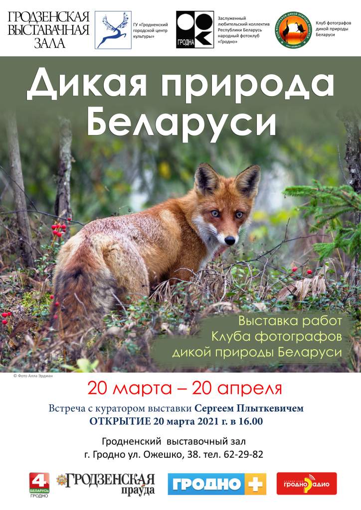 постер а3 лиса.jpg