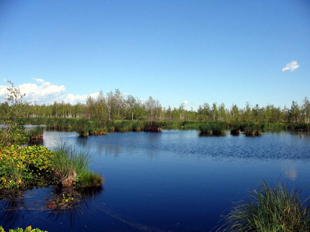 IMG_1041.JPG