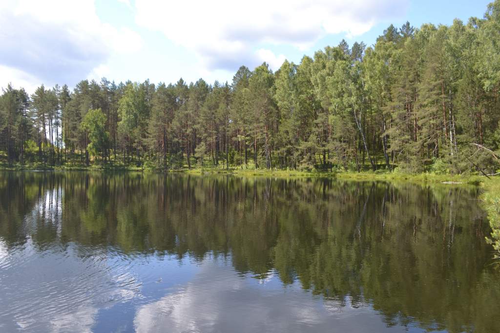 DSC_1743.jpg