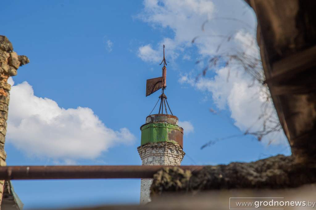 IMG_1195.jpg