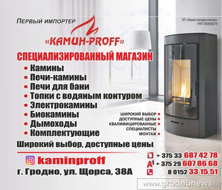 Камин-профессионал_Внутрь.jpg