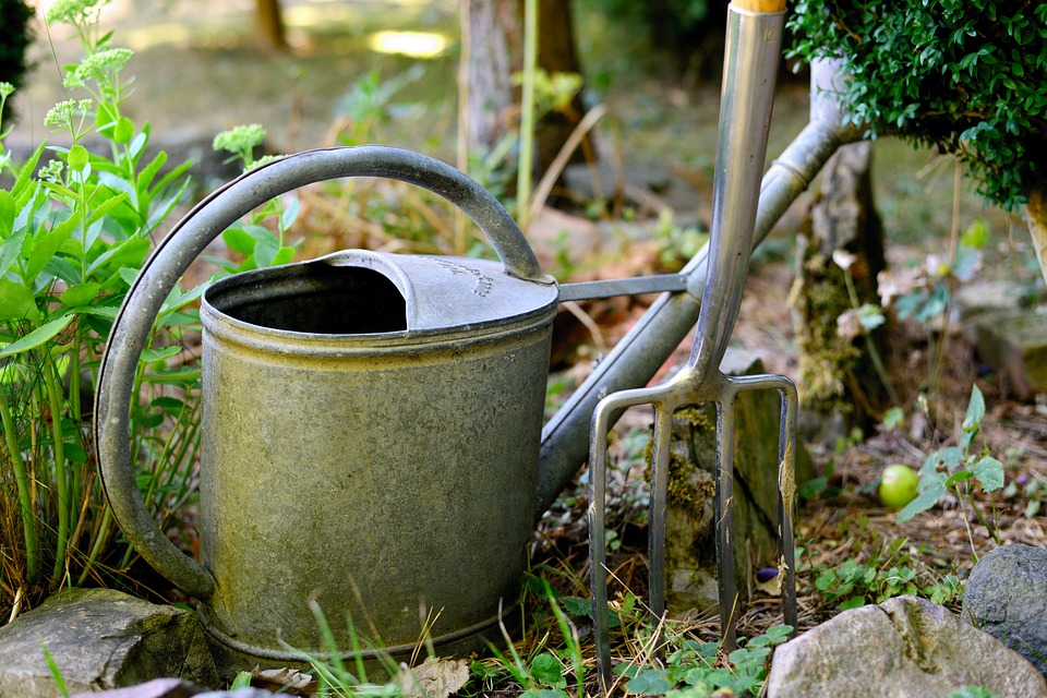 watering-can-3630281_960_720.jpg
