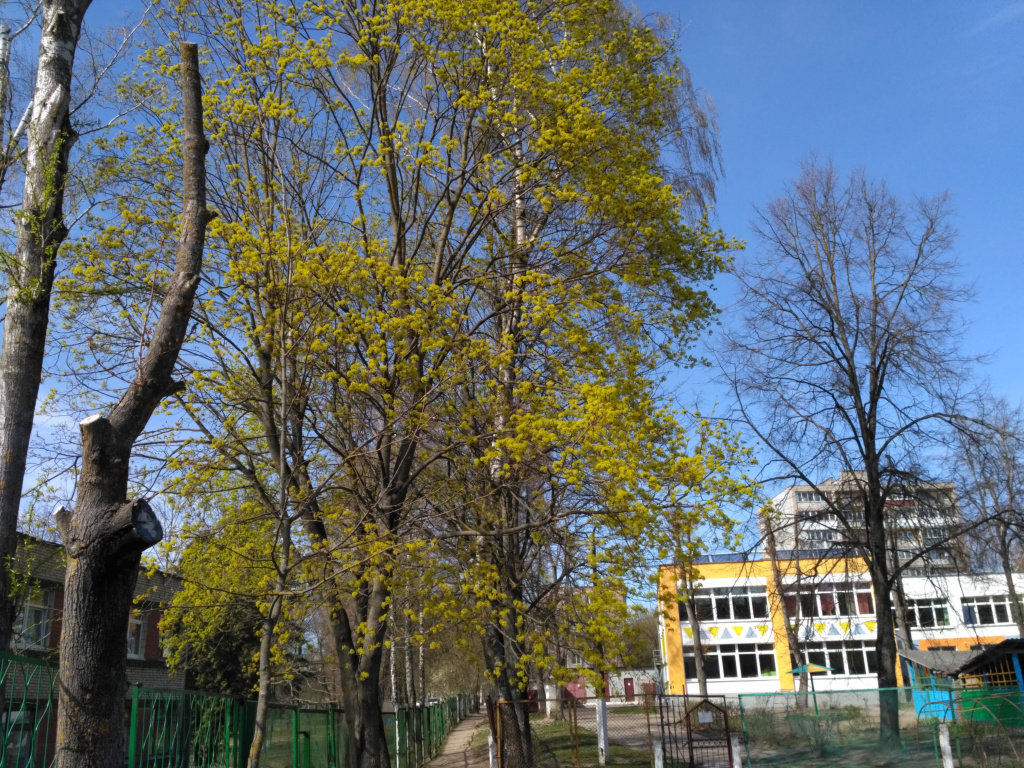 IMG_20190418_153720.jpg