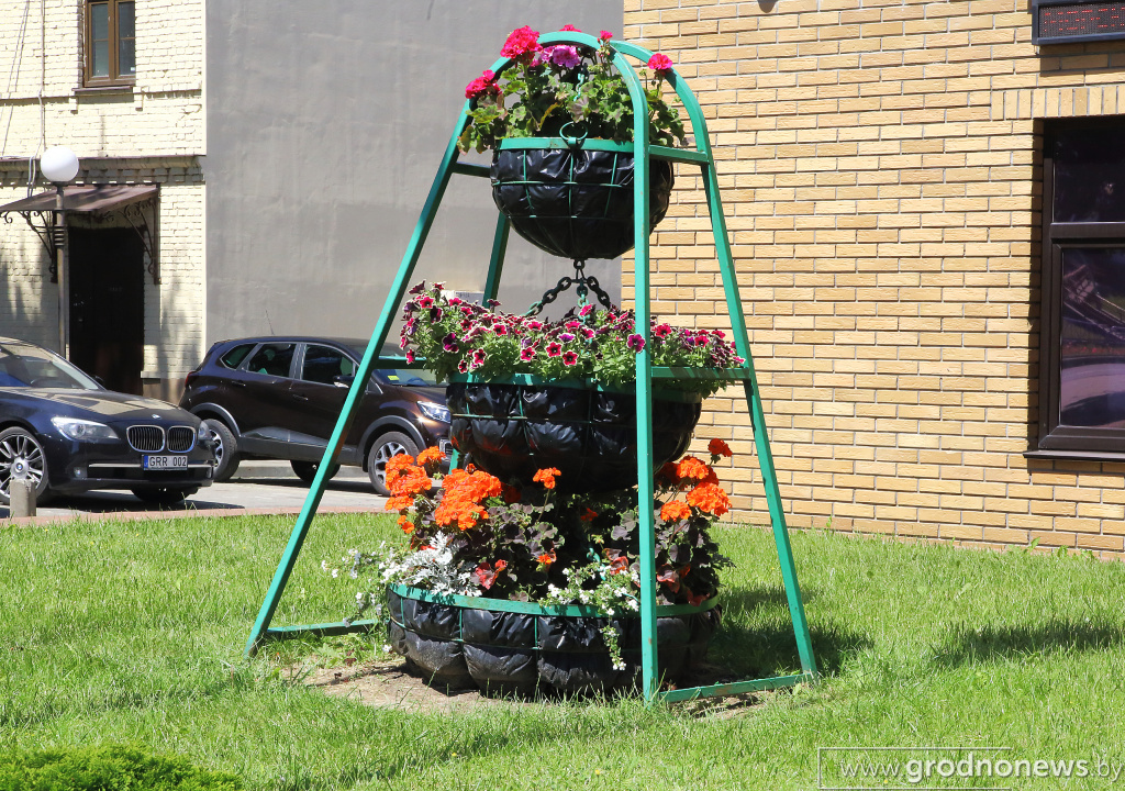 DPP_40215.JPG