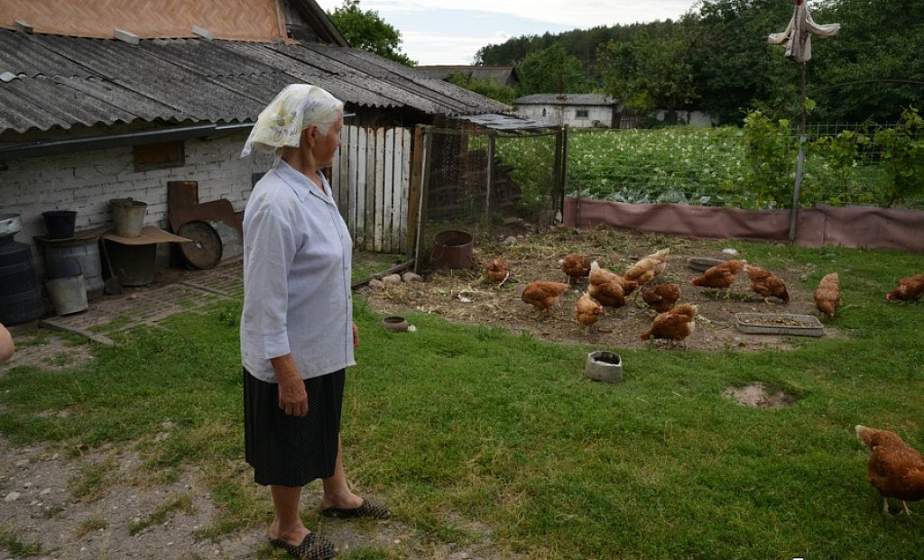 Лисы наводят страх на жителей Индурского сельсовета