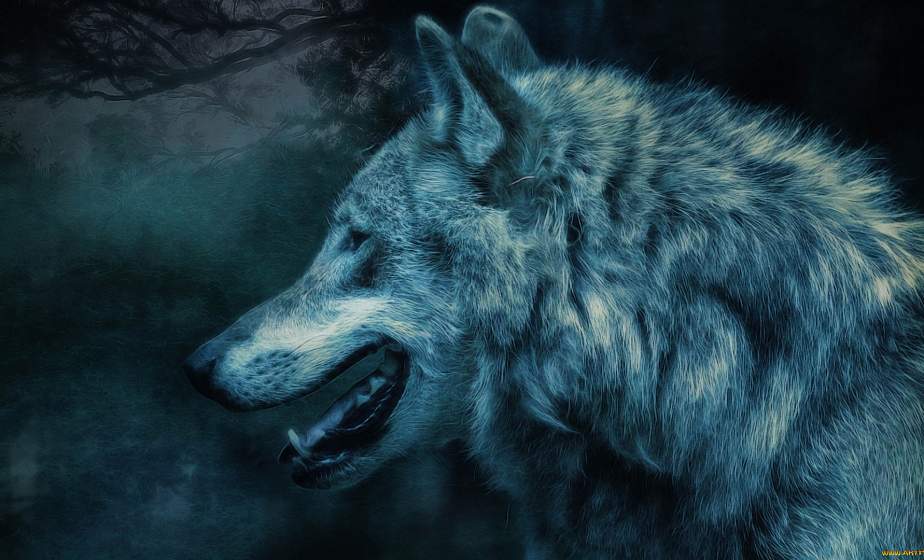 В округе Деревной на Слонимщине снова исчезают собаки