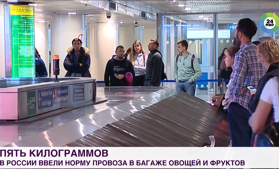 Не более пяти килограммов: в России ввели норму провоза в багаже овощей и фруктов
