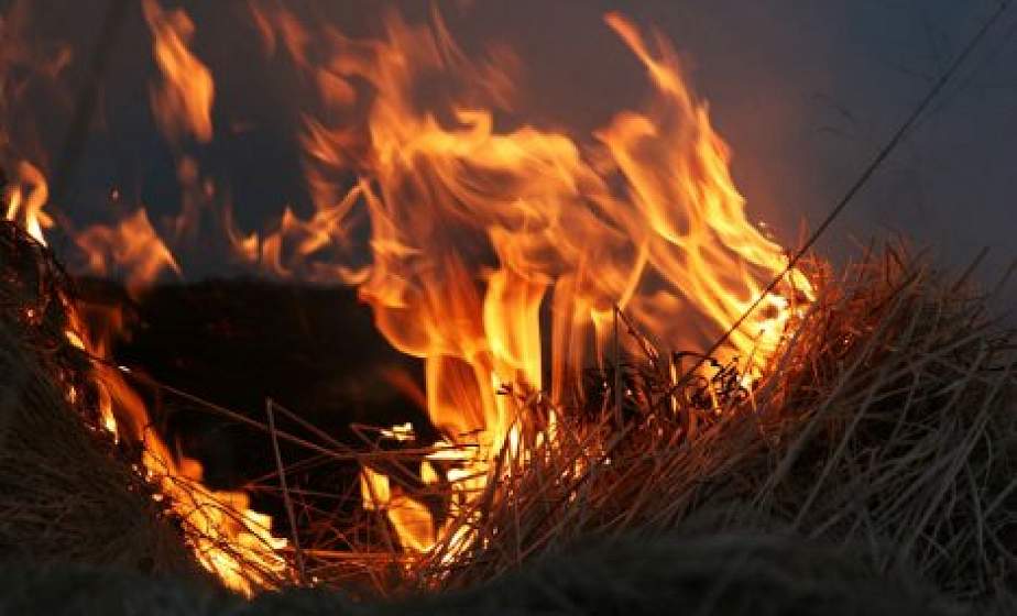 В Слонимском районе сгорело 90 тонн сена