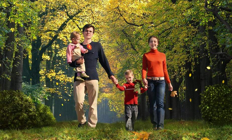 Прогулка в лесу расслабляет лучше медитации