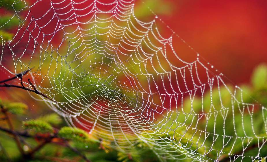 Семенов день. Осенины: народные приметы на 14 сентября  