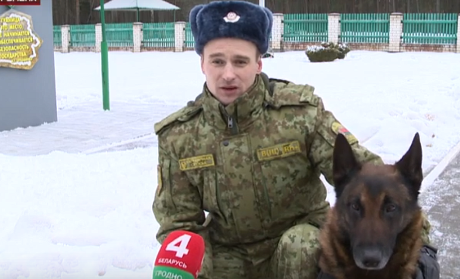 Лепшы чатырохлапы ахоўнік мяжы  сабака Ніл  служыць на 1-й заставе імя Героя Савецкага Саюза Віктара Усава (+відэа)