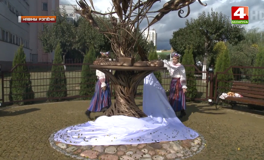 Хлебное дерево появилось в Гродно (+видео)