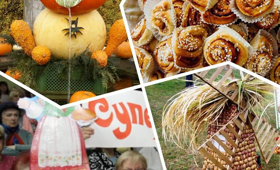 Мультифеерия в Дятлово, большой праздник тыквы и конкурс "Супербабушка". Куда поехать на уик-энд?